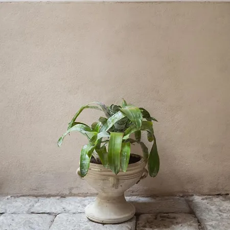 Apartament Cortile Galletti - Cool Flat With Private Courtyard Palermo